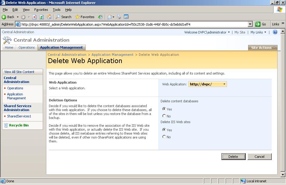 Delete Web Application
